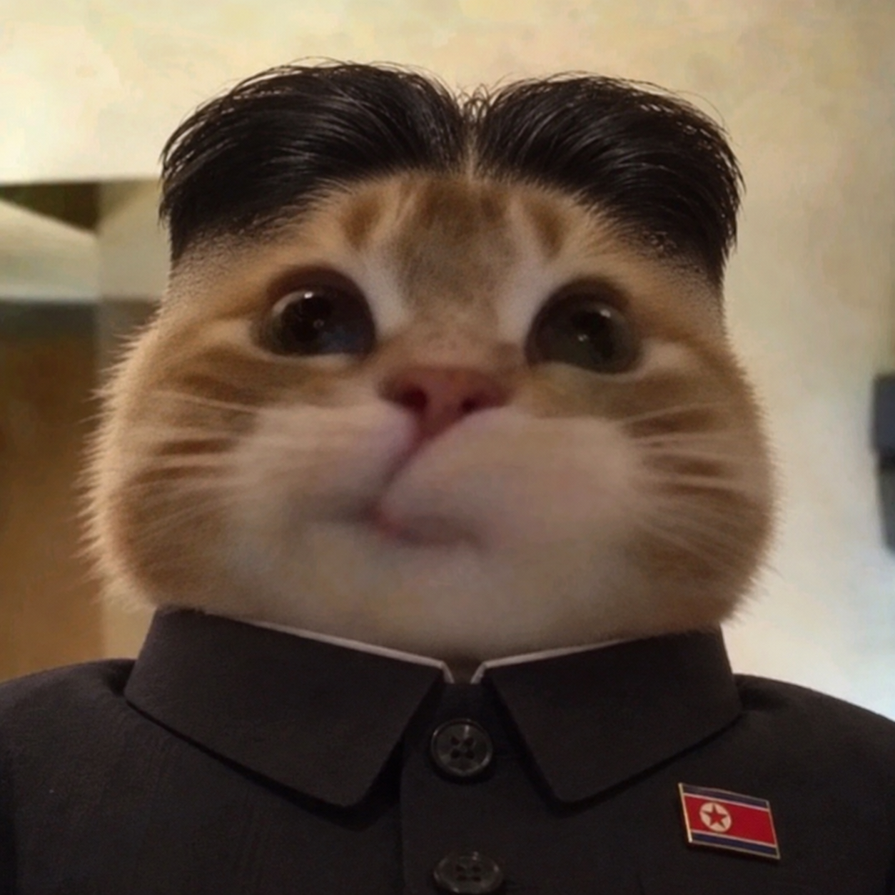 Kim Jeff Meow in his official uniform